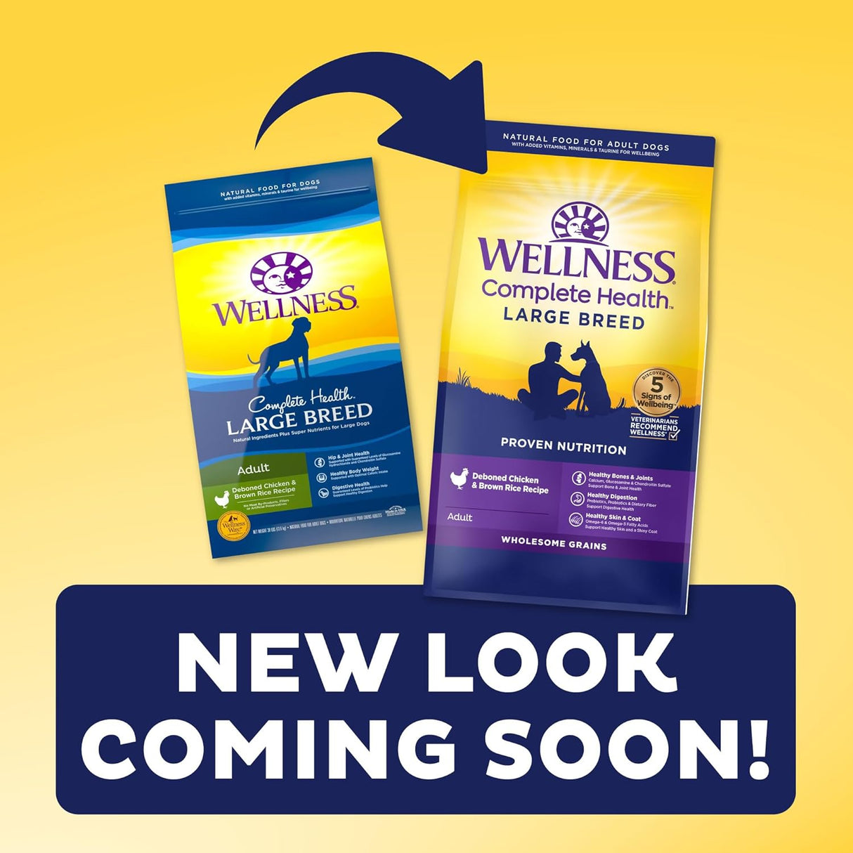 Alimento seco natural para perro, Wellness Complete Health