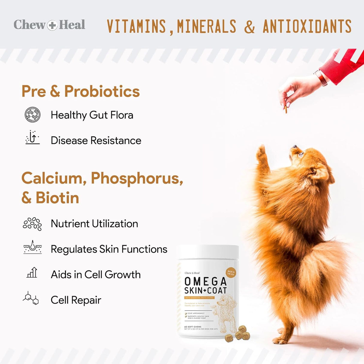 Vitaminas Aceite de salmón para masticar curar para perros