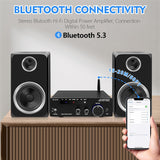 Amplificador de Audio HiFi 2.0, Bluetooth 5.3, AK-3116