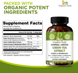 Suplemento de Té Verde Moringa y Matcha con ECGC y Cúrcuma