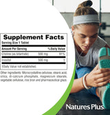 Suplemento Colina e Inositol 500 mg  60 und vegetarianos