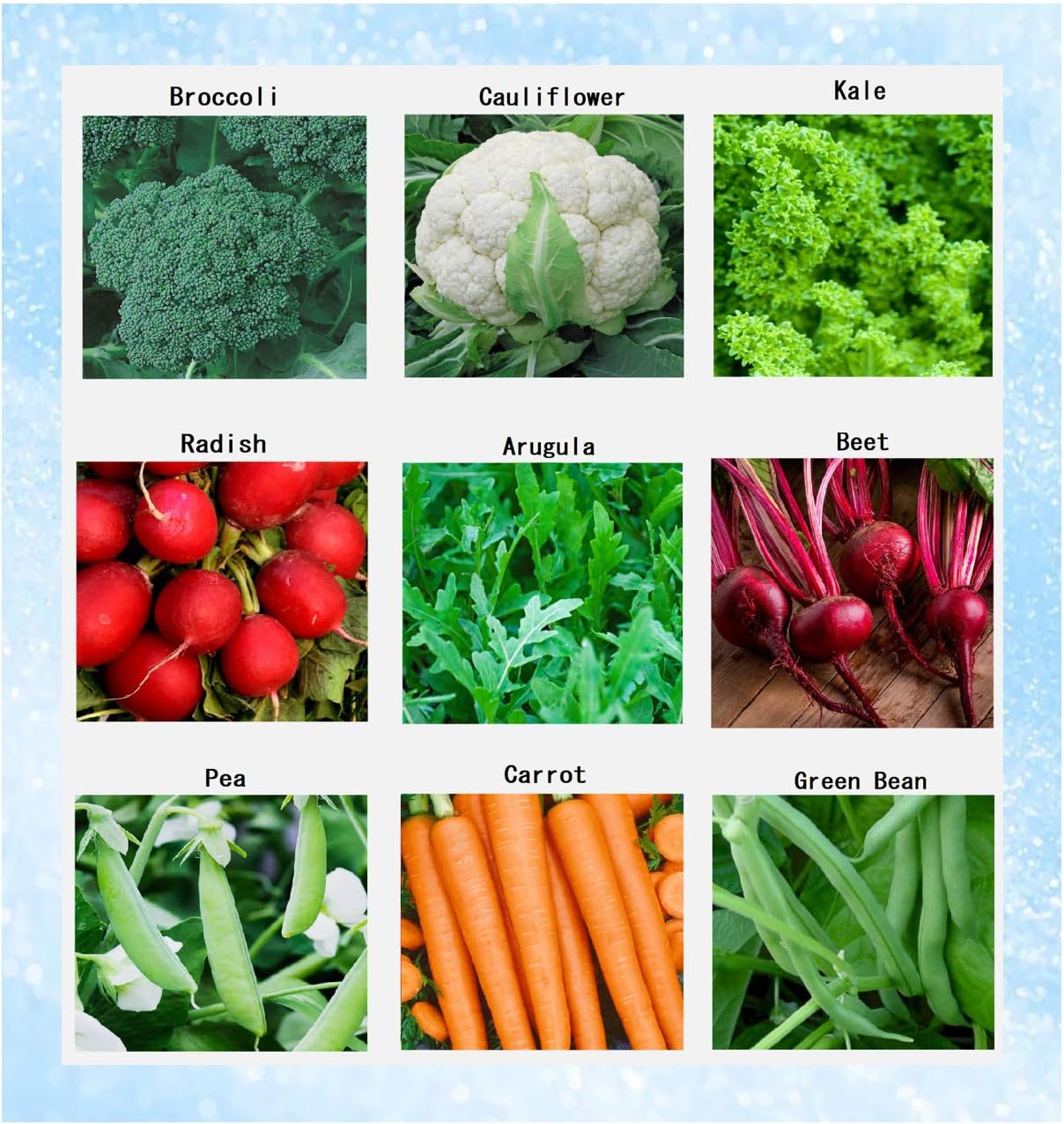 Colección de Semillas de Invierno Orgánicas Sin GMO - Heirloom