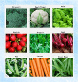 Colección de Semillas de Invierno Orgánicas Sin GMO - Heirloom