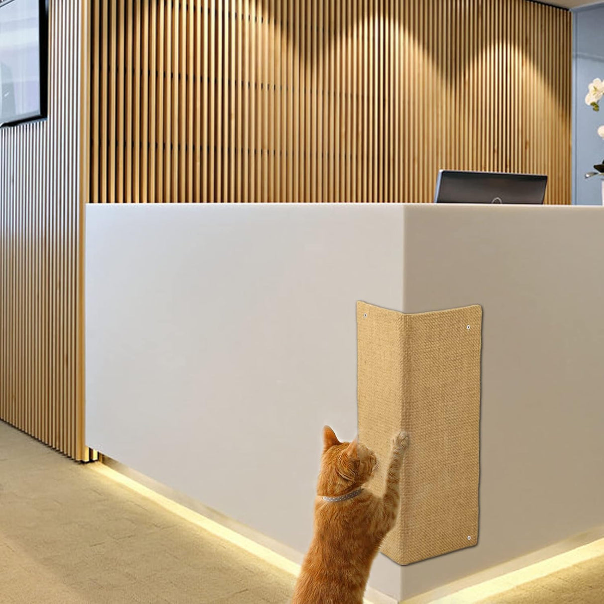 Rascador 2 tablas de rascar plegables para gatos