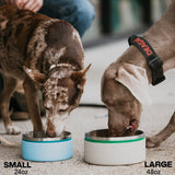 Cuenco 3 en 1 para perros RTIC, acero inoxidable, grande, modelo grande