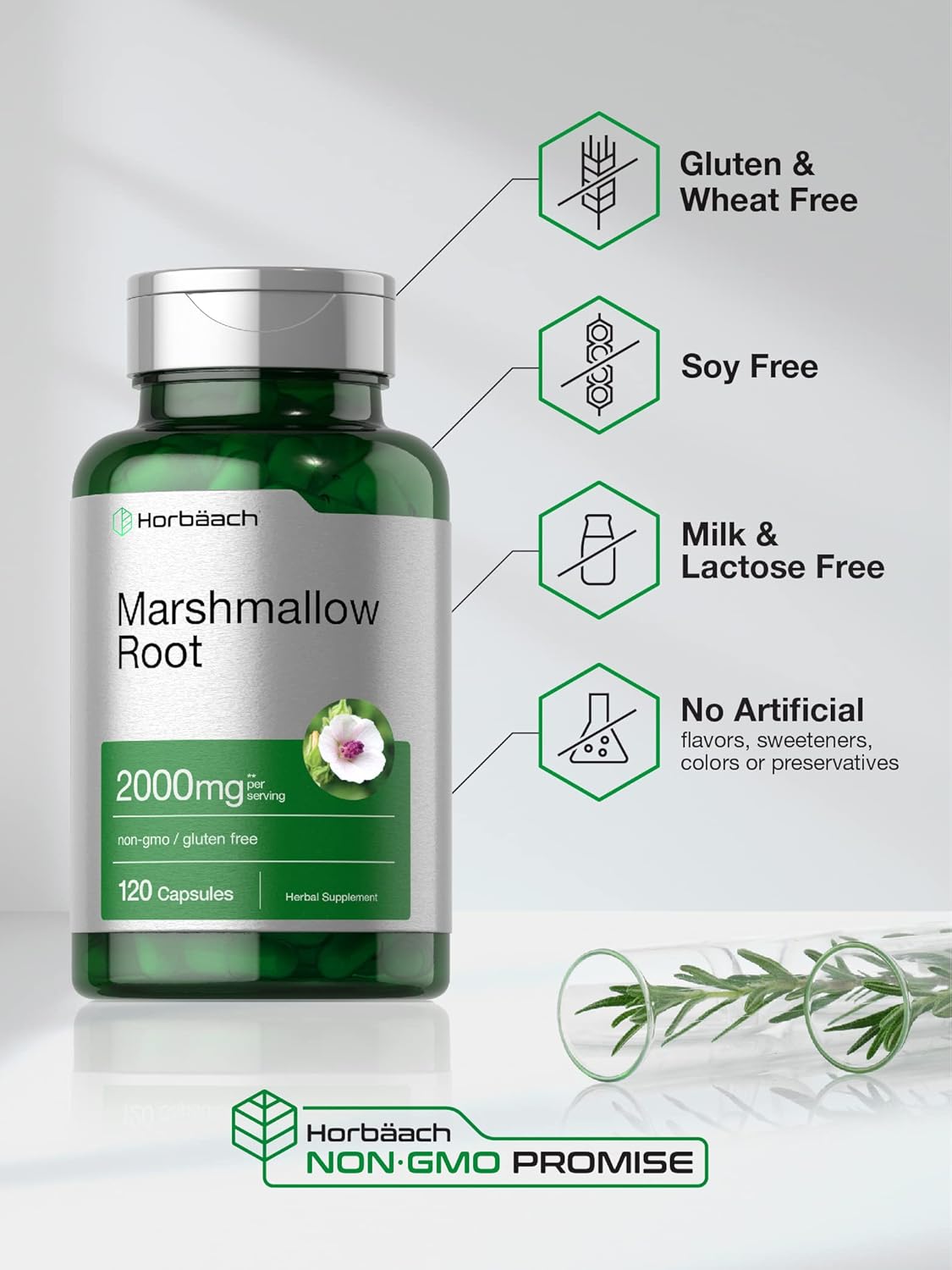 Suplemento Horbaach Cápsulas de raíz de malvavisco  2000 mg