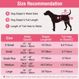 Pet Soft Pañales desechables, pañales para perras con agujero