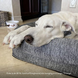 Cama ortopédica para mascotas lavable Newton Baby