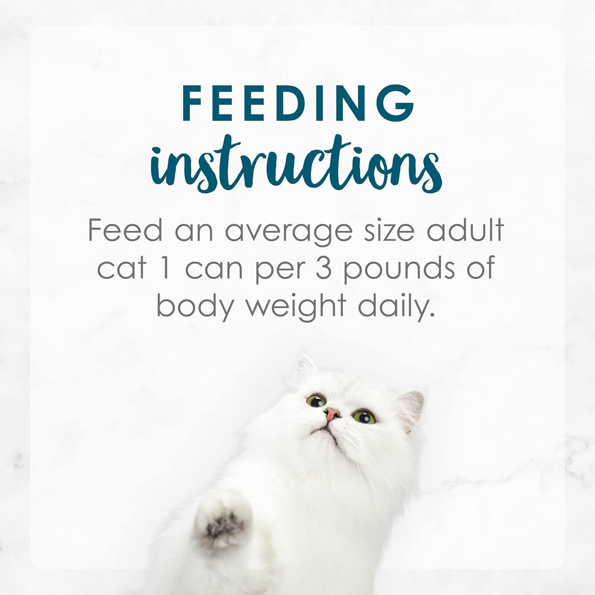 Alimento para Gato enlatada 24 Pack
