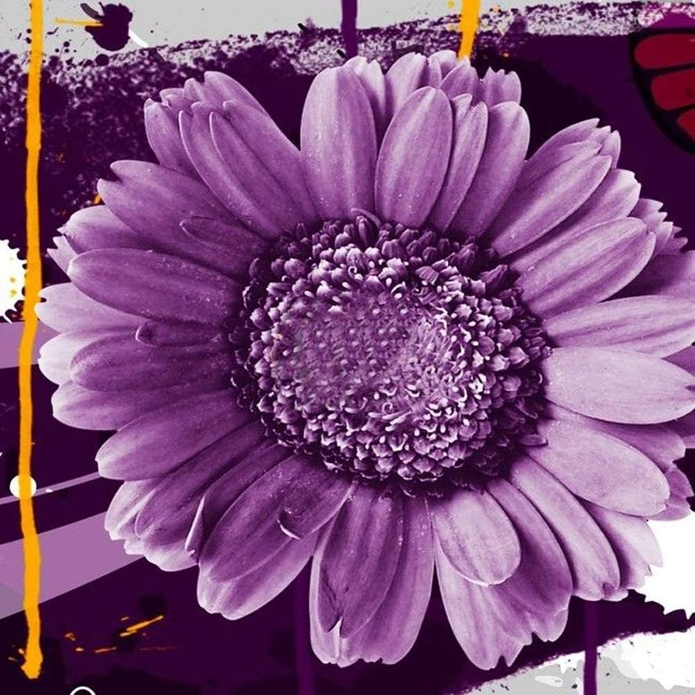 Semillas de Girasol No-GMO para Jardín - Decoración Ornamental
