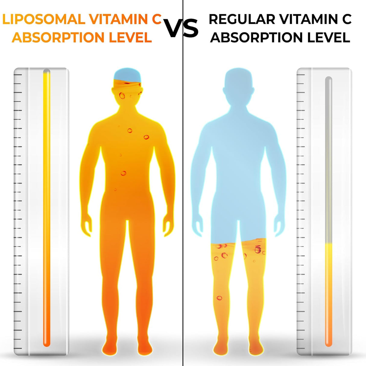 Suplementos liposomales de vitamina C en polvo, 1500 mg