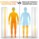 Suplementos liposomales de vitamina C en polvo, 1500 mg