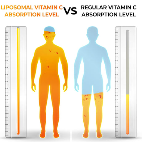 Suplementos liposomales de vitamina C en polvo, 1500 mg