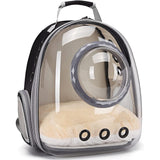 Mochila transportadora para gatitos impermeable