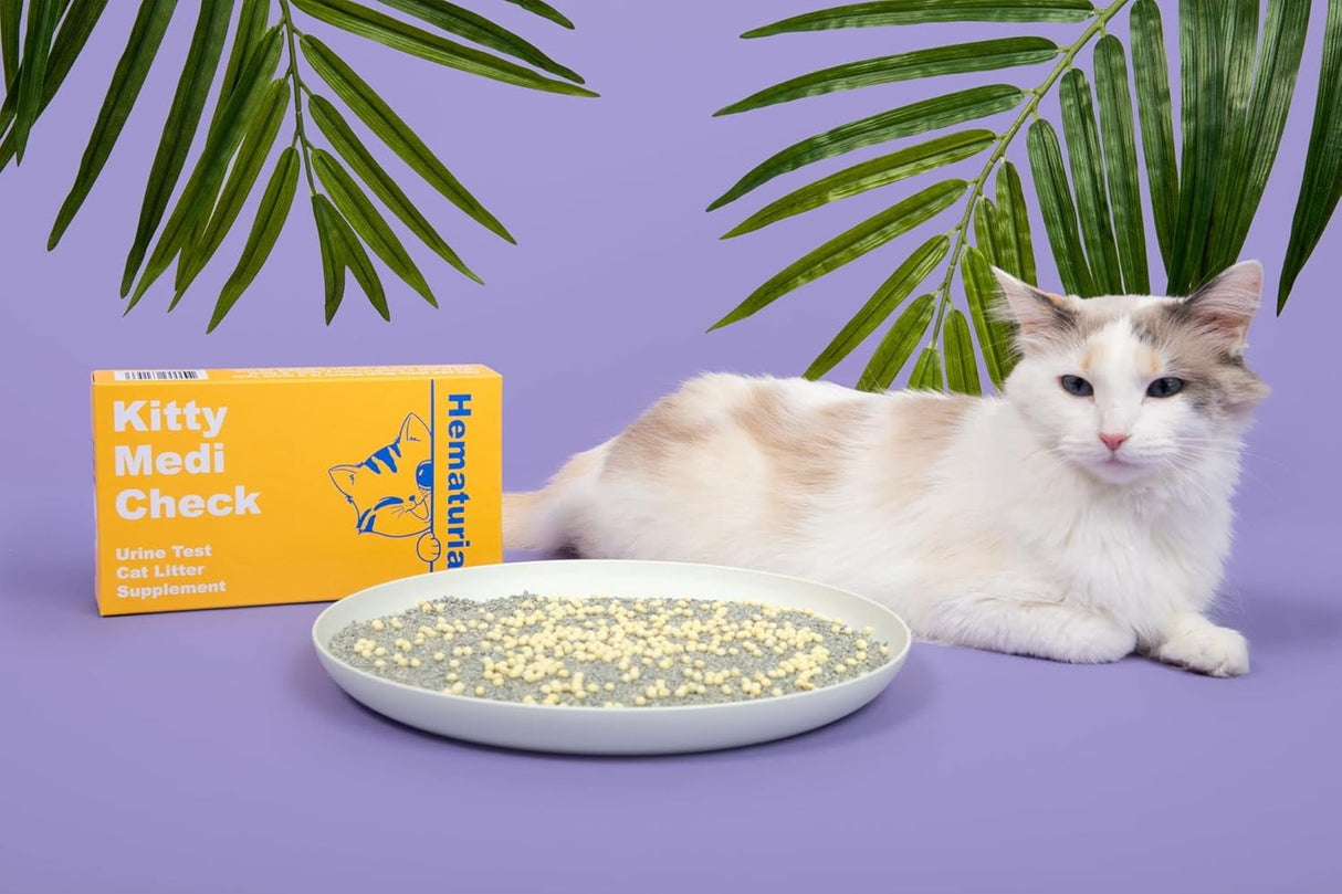 Salud de orinaria de gato, Hematuria 100% biodegradable.