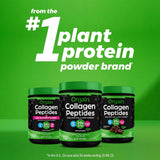 Péptidos de Colágeno Hidrolizados + Superalimentos