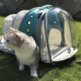 Mochila Transportadora Expandible para Gatos y Perros, 20 lbs