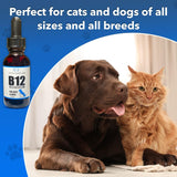 Vitaminas B-12 líquida para perros aumenta la energía