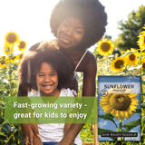 Semillas de Girasol Mammoth - Sow Right Seeds - No GMO (1)