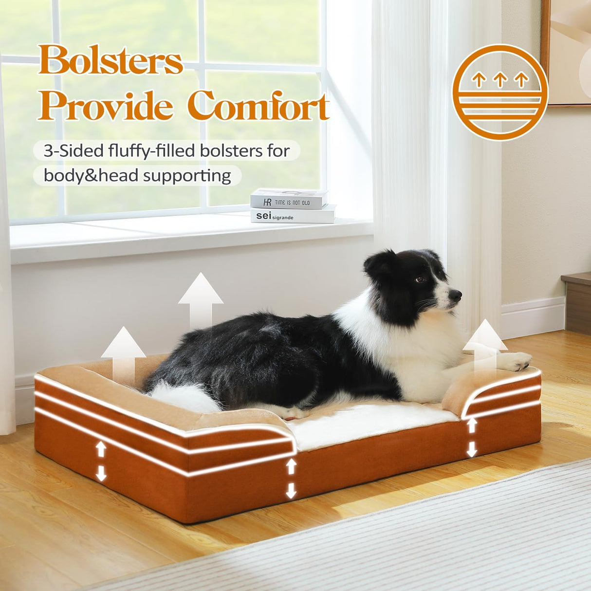 Cama ortopédica para perros PAWZ Road, memoria, impermeable, mediana