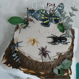 Moldes de Silicona para Pasteles Halloween de Araña, Set 1