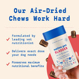 Vitaminas para perros en el mostrador Soporte de vejiga