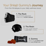 Gomitas de Shilajit Himalaya Be Bodywise, Orgánicas, Lab, 60g