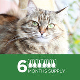 Tratamiento contra pulgas para gatos grandes de 9 libras