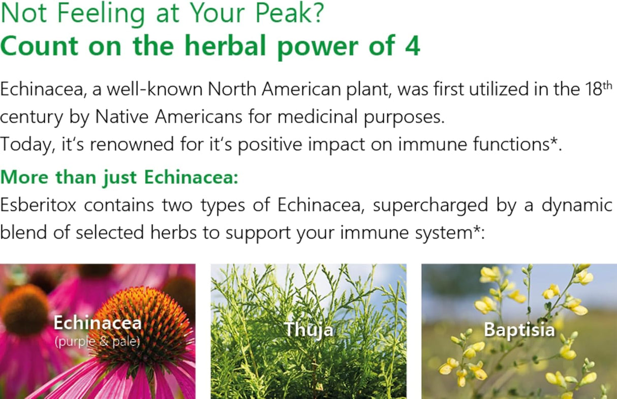 Suplementos Herbales Refuerzo Inmune Echinacea Supercharged