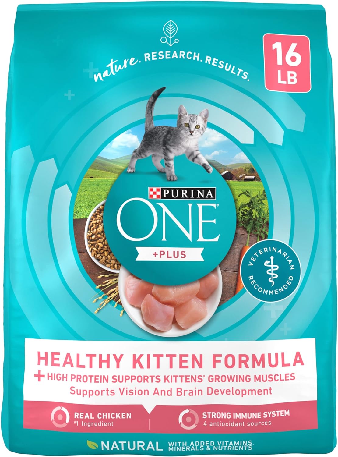 Alimento seco natural para gatitos fórmula saludable