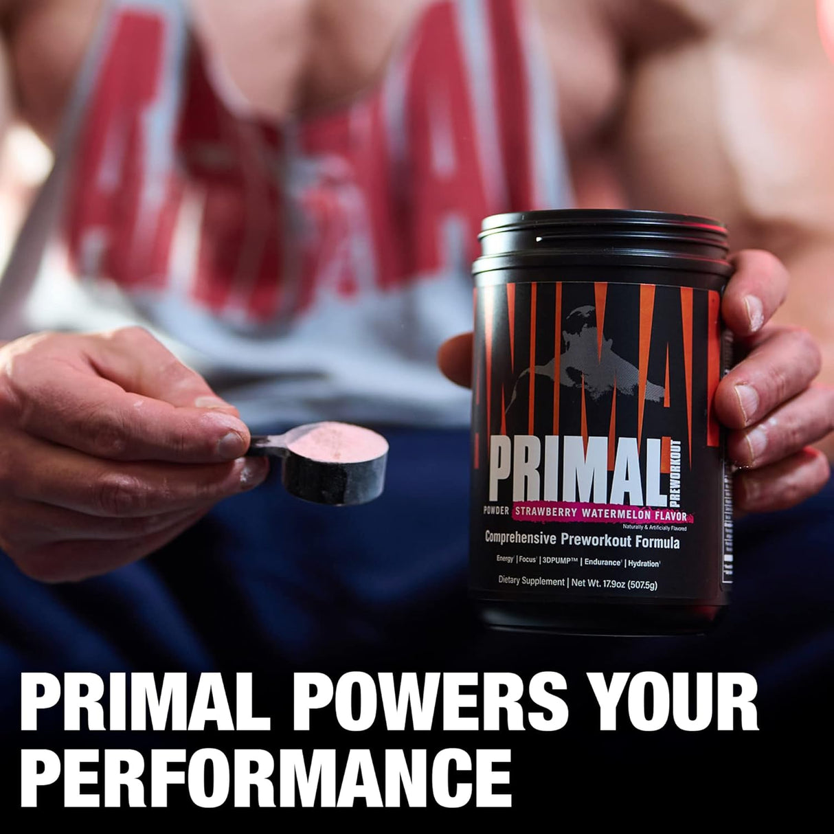 Suplementos Alimenticios Animal Polvo preentrenamiento