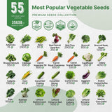 Pack de 55 Semillas No GMO para Huerto - Variedad Heirloom