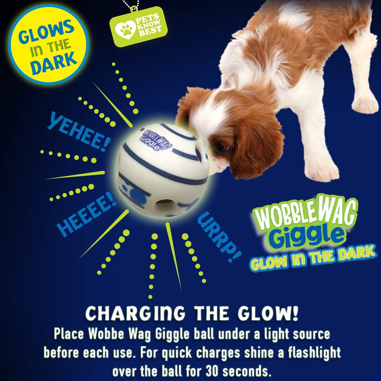 Pelota Interactiva para Perros - Wobble Wag Giggle Ball