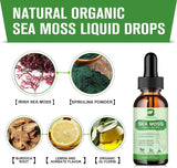 Sea Moss Líquido Orgánico con Spirulina y Burodack, 2oz