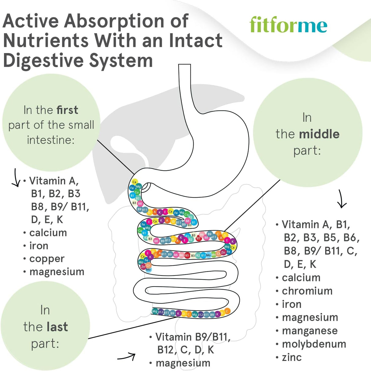 Multivitaminas Bariátricas FitForMe con Hierro - 30 Cápsulas