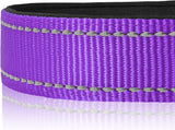 Collar Reflectante para Perros Joytale, Neopreno Ajustable M