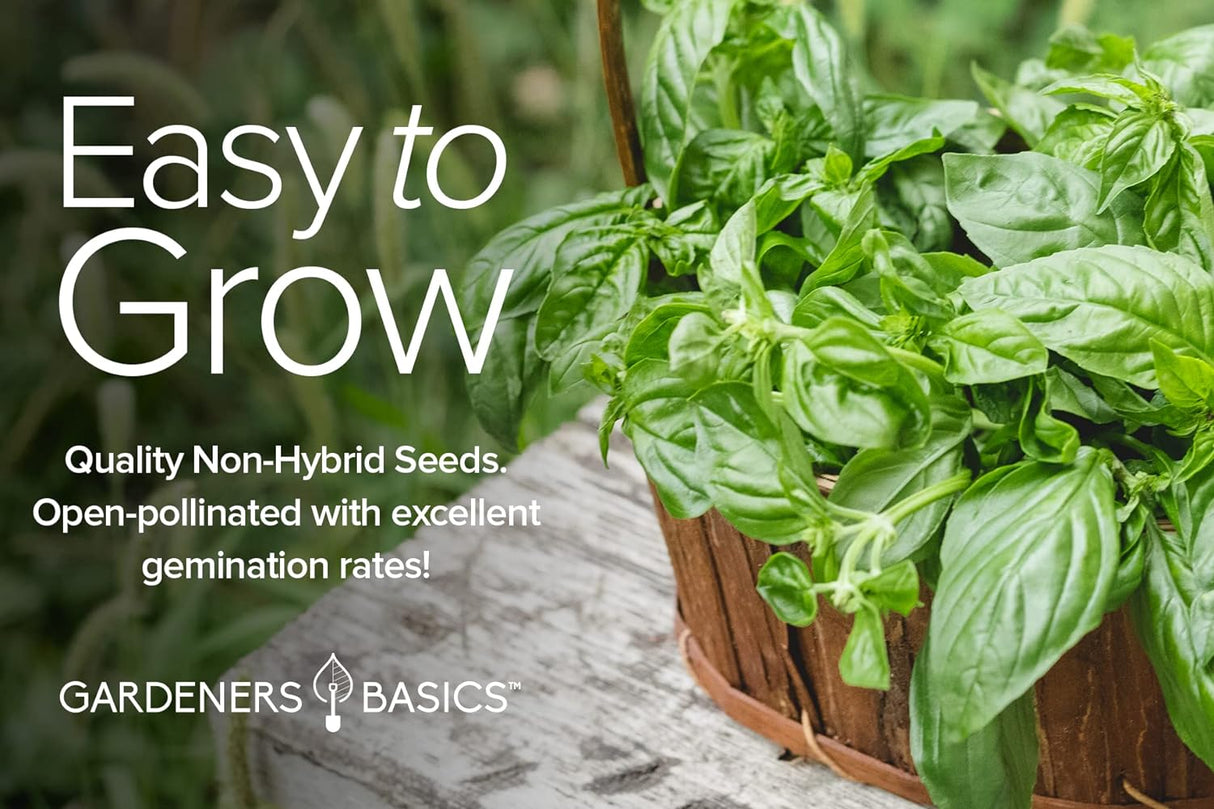 Semillas de Hierbas Italianas Gardeners Basics, 5 Variedades