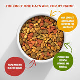 Alimento seco Meow Mix para gatos 6 libras