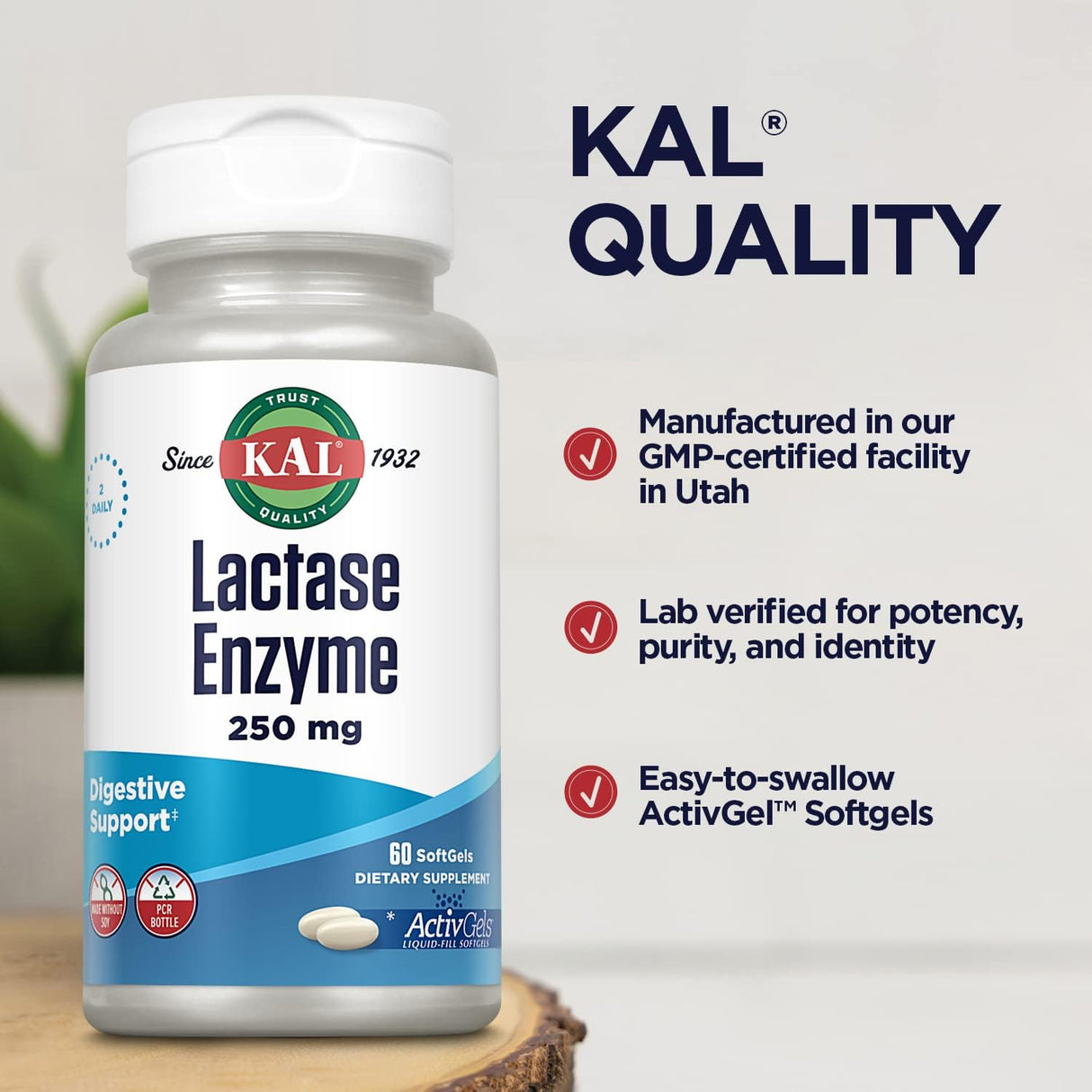 Suplemento Enzima lactasa de 250 mg de digestión saludable
