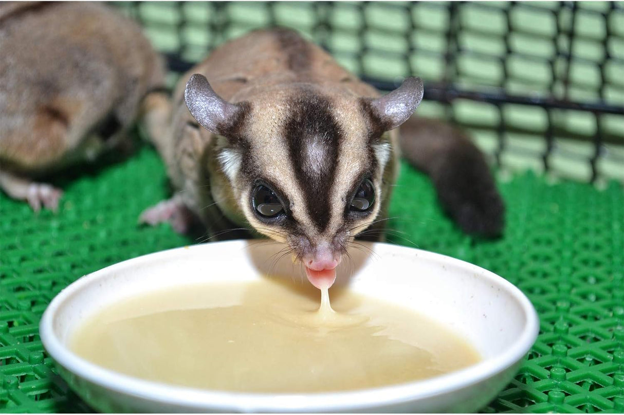 Alimento Natural para Sugar Glider - Rico en Vitaminas y Proteínas