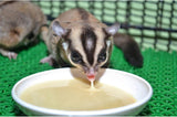 Alimento Natural para Sugar Glider - Rico en Vitaminas y Proteínas
