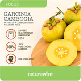 Garcinia Cambogia Naturewise, Extracto Natural 60% HCA, 90 Caps
