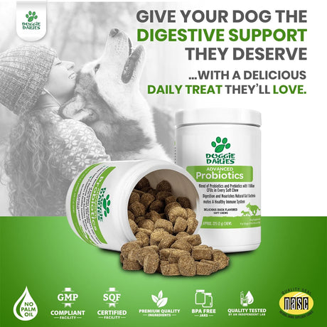 Vitaminas Probióticos para perros promueve la salud