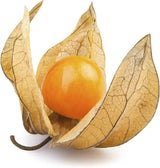 Semillas de Tomatillo Gaea's Blessing - No-GMO, Herencia, Abiertas