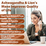 Cápsulas de Ashwagandha y Lion's Mane, Suplemento Cerebral, 90 Caps