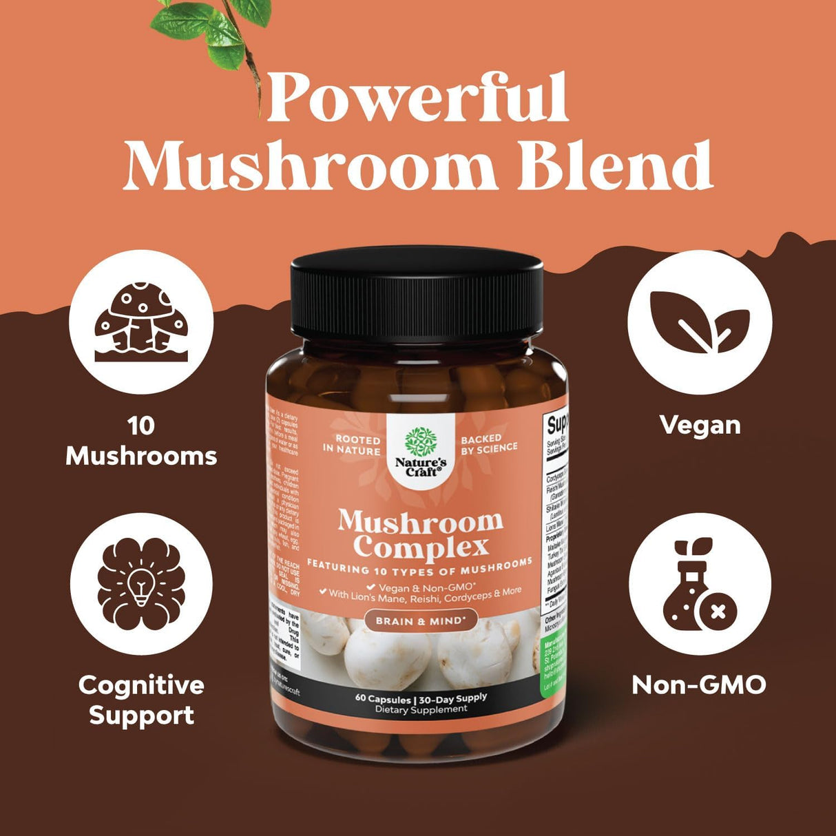 Suplemento nootrópico de hongos con melena de león y Reishi