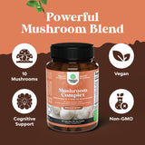 Suplemento nootrópico de hongos con melena de león y Reishi