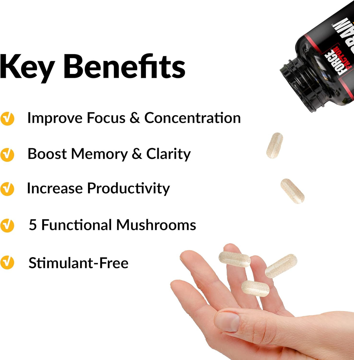 Force Factor Forebrain Focus Suplemento Nootrópico 180 cápsulas