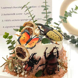 Moldes de Silicona para Pasteles Halloween de Araña, Set 1