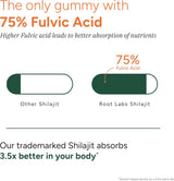 Alpha Gummies con 4000mg de Shilajit, KSM-66, Maca, Tongkat, 75% ácido fúlvico, 60u